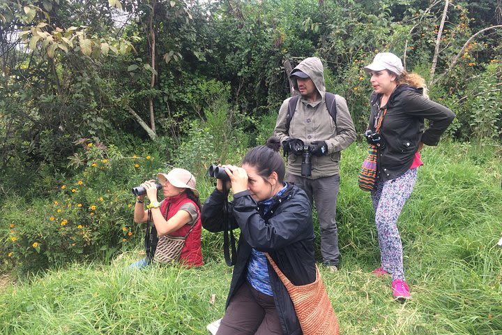 Birdwatching Day Tour at Chicaque Natural Park + Lunch Included image