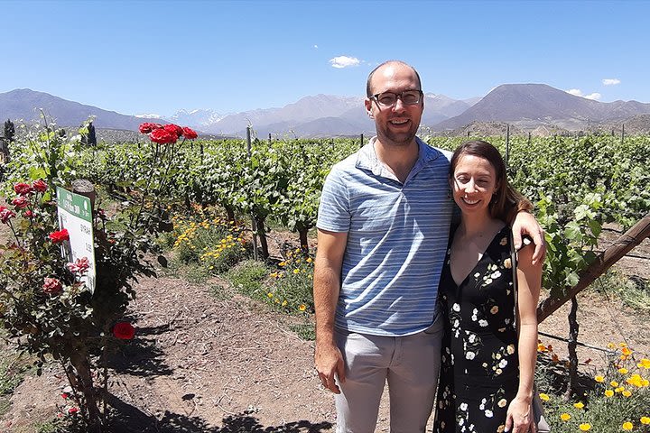 Wine in the Shadow of the Andes: Errazuriz and San Esteban Vineyards image