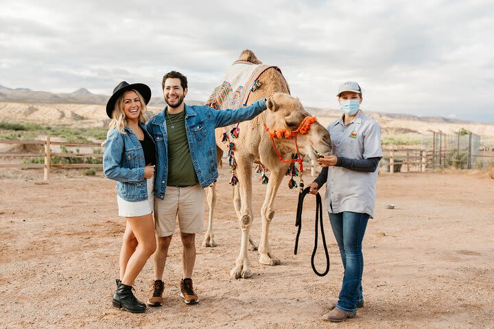 3-Hour Animal Encounter Zoo Safari image