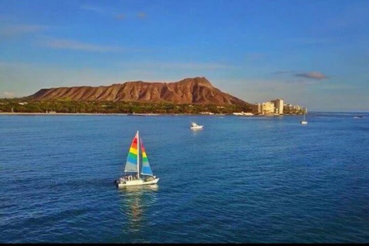 Marine Life Sail Or Trade Wind Sail with the Manakai Catamaran image