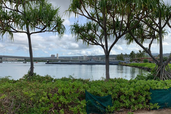 Dole Pineapple Plantation, Haleiwa Historical Town and Honolulu City Tour image