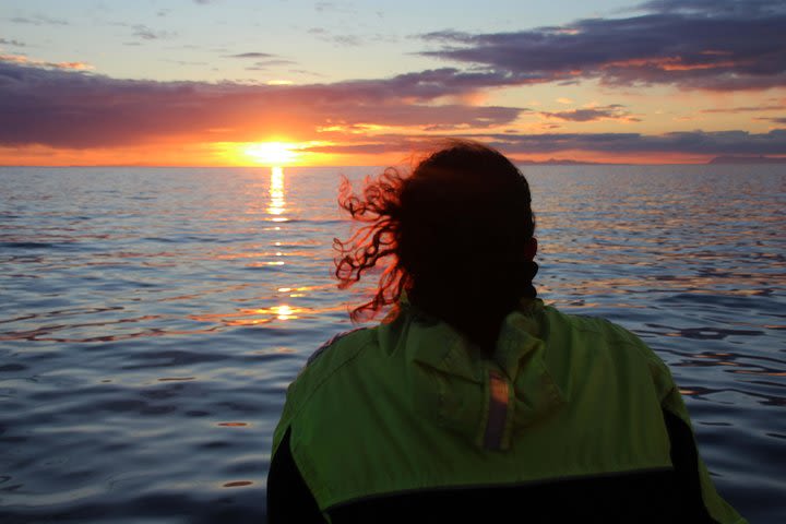 Midnight Sun Whale Watching from Reykjavik image