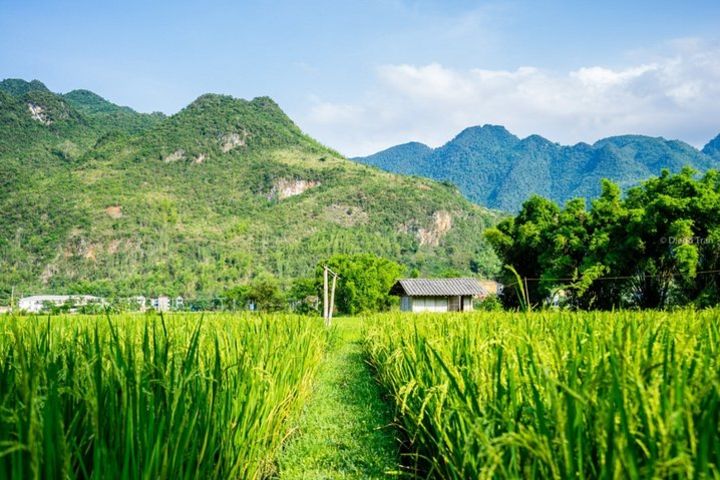 Amazing 2 days relaxing & discovering the peaceful of Mai Chau - Pu Luong image