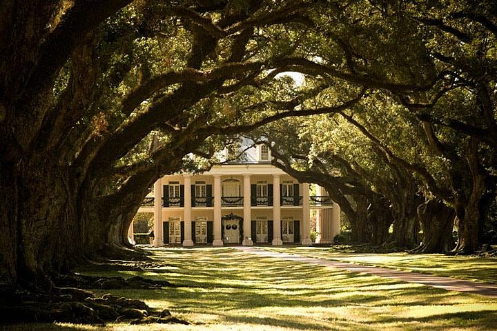 Oak Alley Plantation and Large Airboat Swamp Tour from New Orleans image