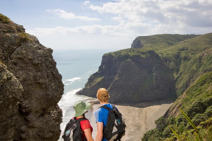 Waitakere Ranges Guided Walk from Auckland image