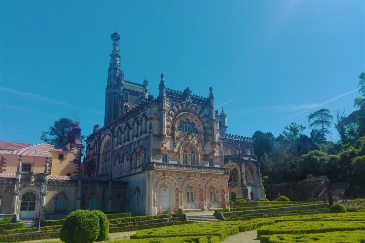 Bussaco Forest Walking Experience image