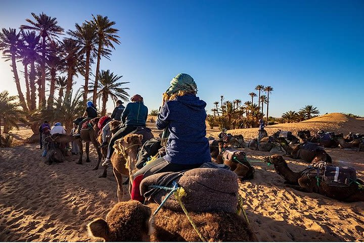 Sunset Camel Ride in Agadir image
