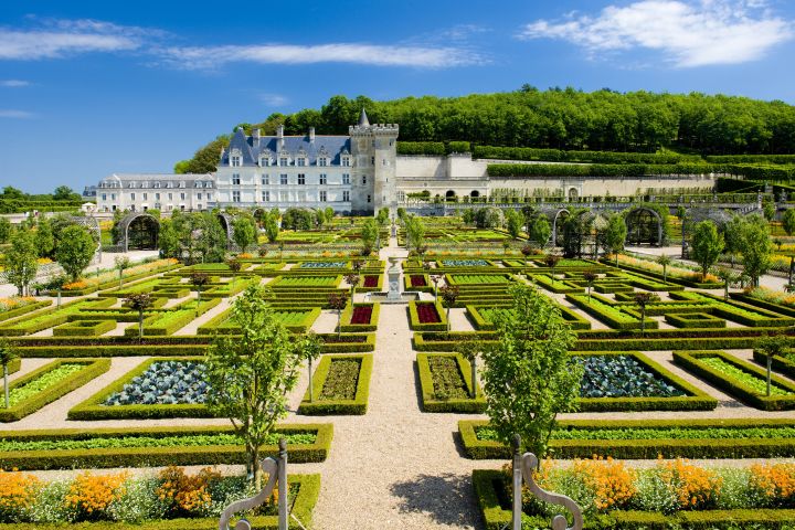 Loire Valley Castles Day Trip from Paris with Wine Tasting image