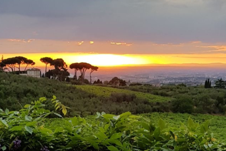  Frascati Sunset Wine Tour With Dinner image