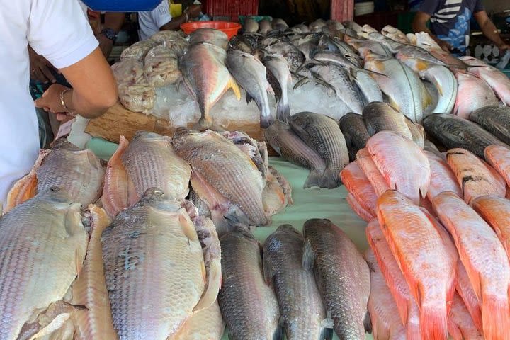 Cartagena Local Market Tour image