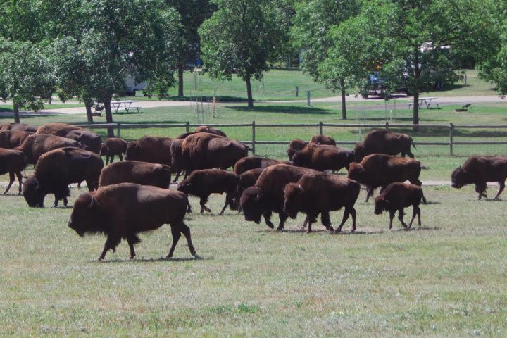 Mount Rushmore & Black Hills Tour Including 2 meals & a Music Variety Show image