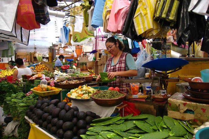 Higuey Half Day Safari Tour image