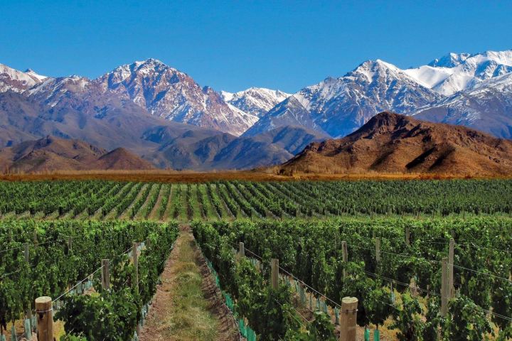 4-Day Mendoza and Andes Adventure image