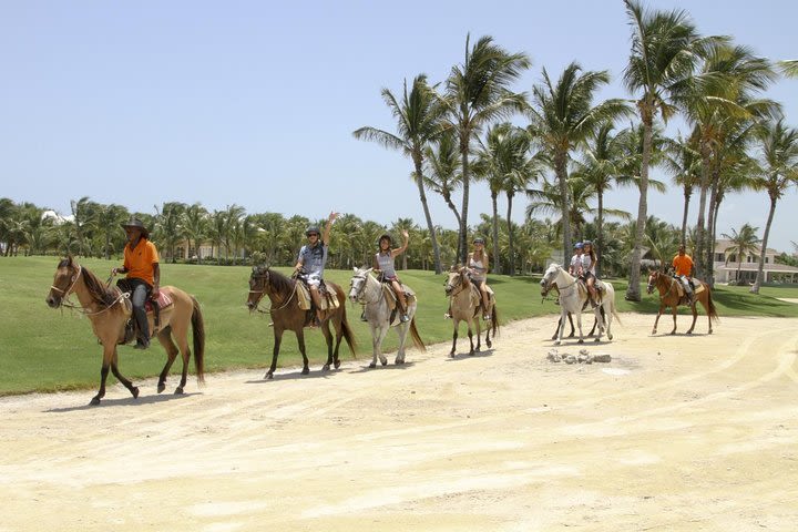 Small-Group Half-Day Horseback Riding Tour from Punta Cana image