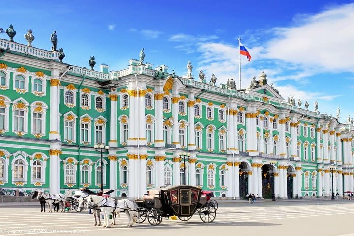 Half-Day St Petersburg PRIVATE City tour and Hermitage museum Skip-the-line image