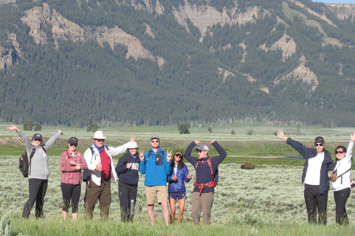 Lamar Valley Safari Hiking Tour with Lunch image