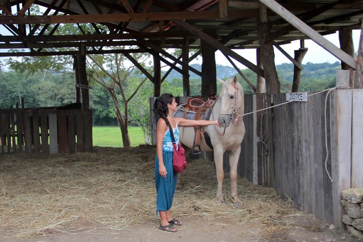 Horseback Riding and Tour in San Lorenzo Organic Farm image