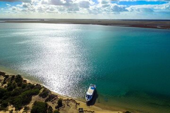 Coorong 3.5-Hour Discovery Cruise image