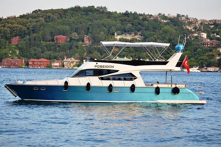 Istanbul Private Bosphorus Yacht Cruise Tour image