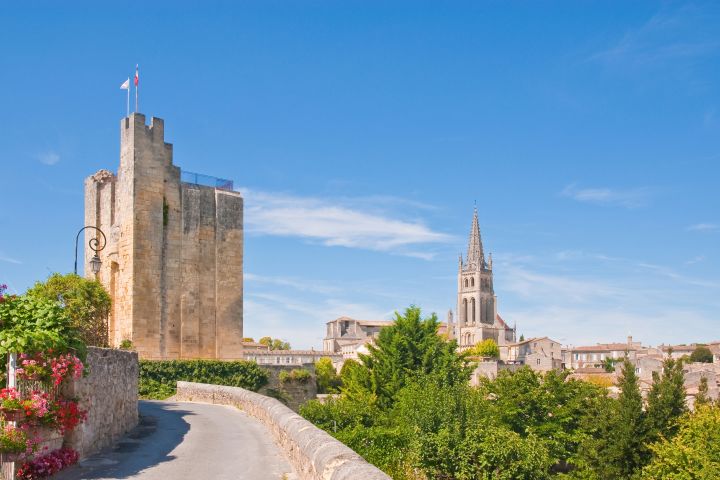 Saint Emilion Wine Tour FD Trip From Bordeaux (private) image