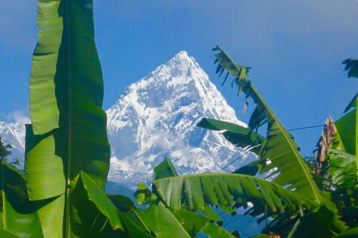 Day Hike to Kalika from Pokhara Nepal image