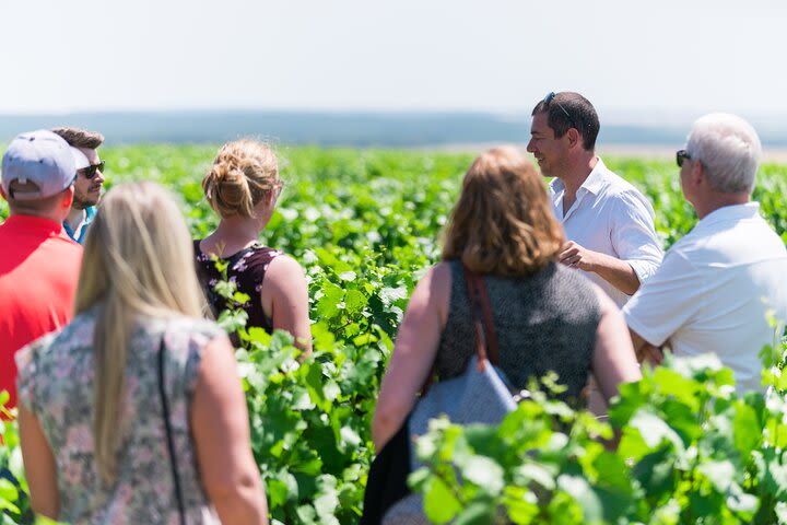 Burgundy Wine Tasting Tour in Chablis with Local Wineries Visit with 12+ drinks image