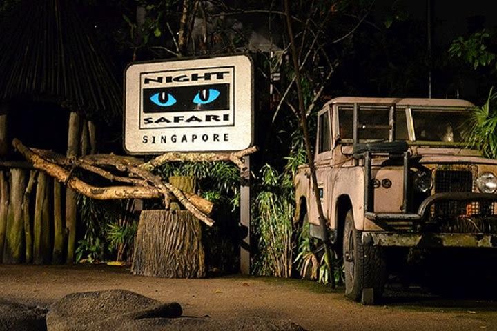 Night Safari Visit with Private Hotel Transfers image