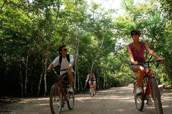 Tour Coba Sunset & Ziplining (Included Show & Dinner )  image