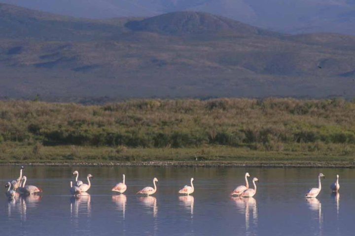 Salinas y Aguada Blanca Full Day Reserve image