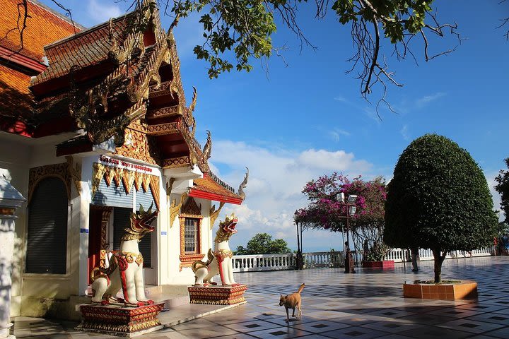 Chiang Mai Private City Tour with Doi Suthep & Famous Viewpoint by Red Tuk Tuk image