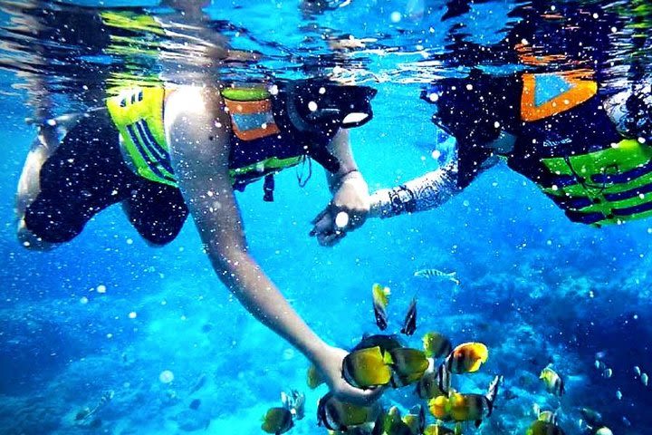 Reef Snorkeling - Sea trip Hurghada image