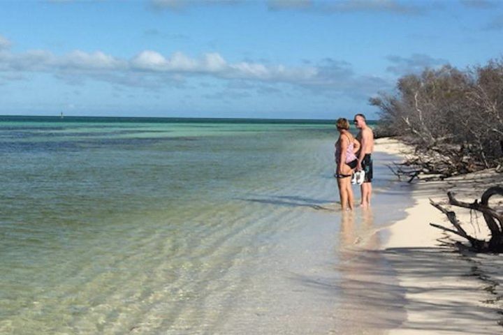 Glass Bottom Boat Island Eco Adventure image