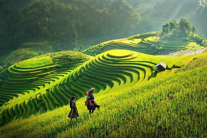 ESSENTIAL SAPA - LAO CHAI, TA VAN, CAT CAT VILLAGES 3Nights-2days image