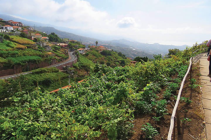 Levada do Estreito image