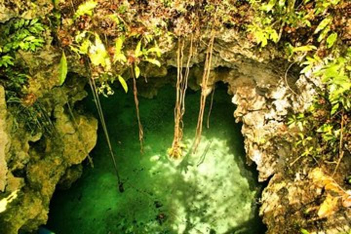 Silent Meditation in the Heart of the Cenote - Private groups image