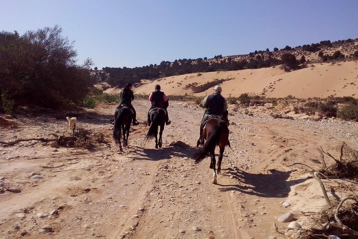 1-day horse ride image