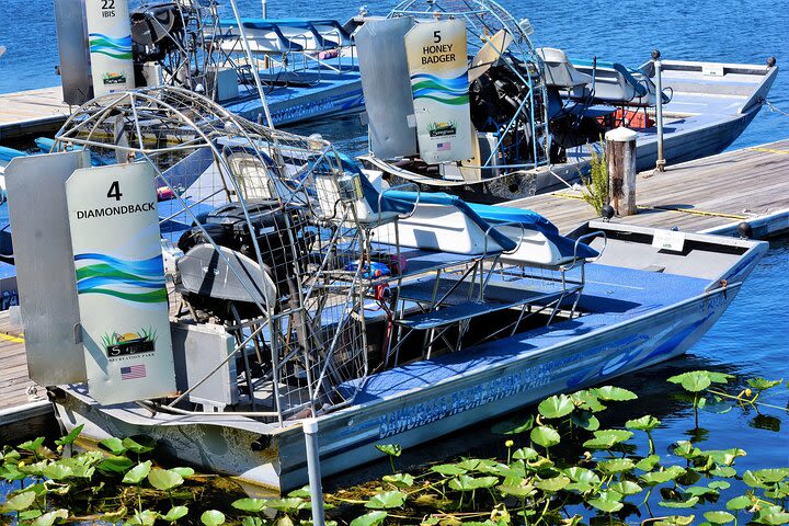 Everglades National Park Day Trip with Roundtrip Transfer image