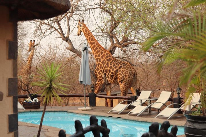 3-Day African Rock Lodge Safari in Kruger National Park image