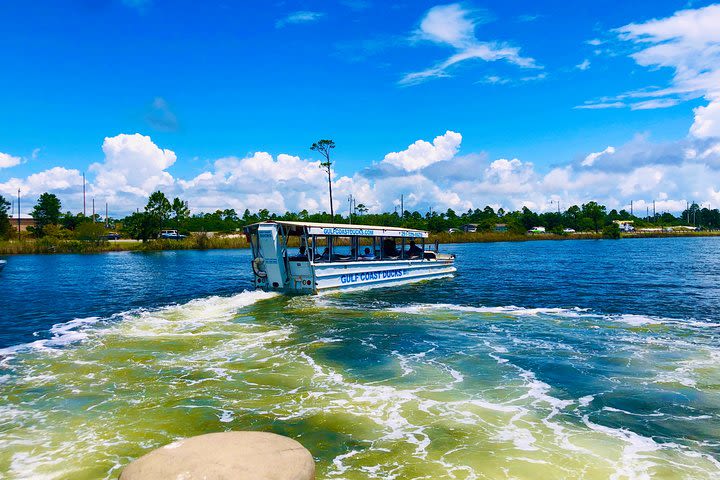 Gulf Coast Ducks Land & Water Splash Tour image