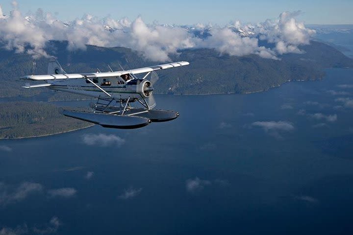 Scenic Flight and Crab Feast from Ketchikan image