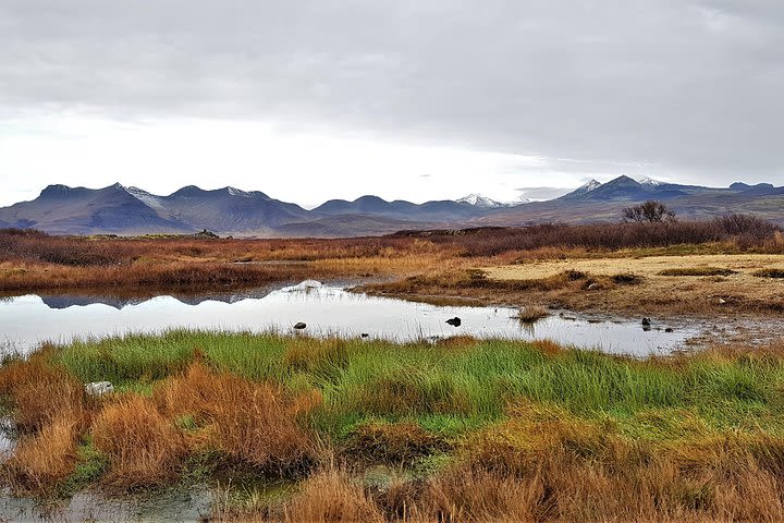 Snaefellsnes Volcanoes Private Day Tour image