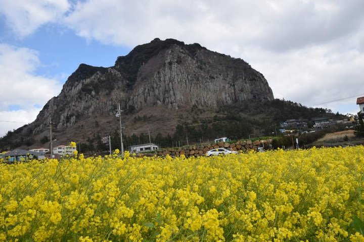 Yongmeori Coast, Mt. Sanbang transfer, One way, Round trip image