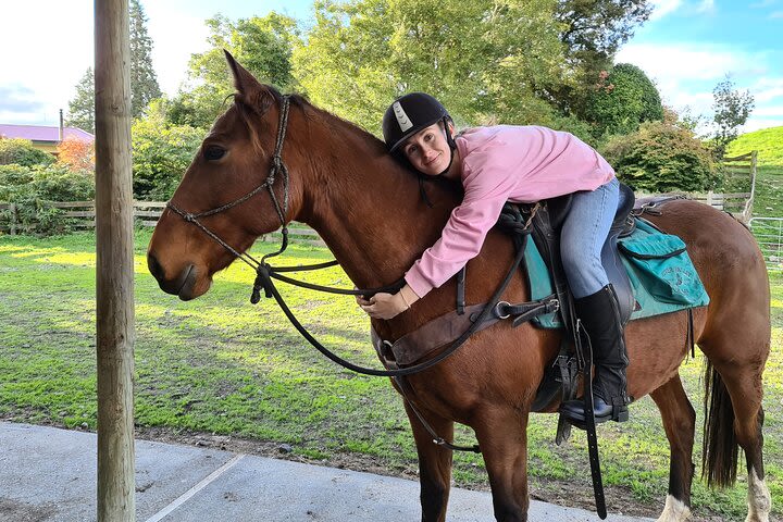 River Valley Stables - Harmony With Horses, Half Day Horsemanship & Trek image