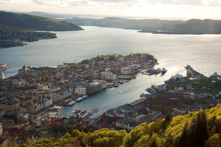 PRIVATE TOUR: Bergen city sightseeing, 3 hours image