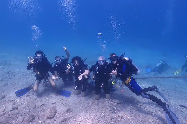 PADI Open Water Diver Course - 5 Days Scuba Diving  image