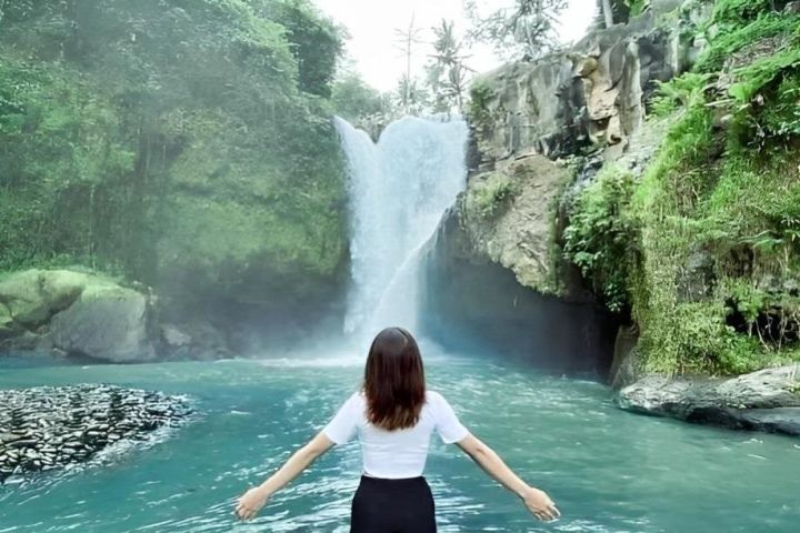 Best of Bali Shore Excursion image