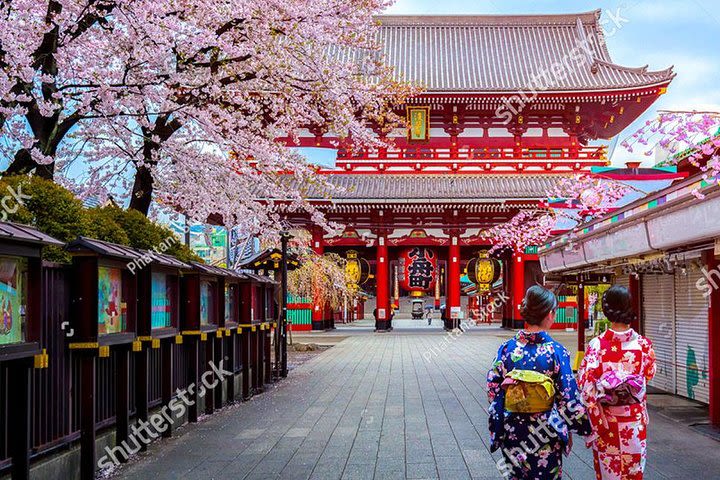 Starter tour in Tokyo _Visiting must-see spots and practical guidance image