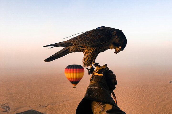 Enjoy Dubai Beautiful Desert By Hot Air Balloon With Falcon Show and Camel image