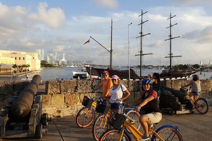 Historical and culture biking tour- Cultural shore excursions image