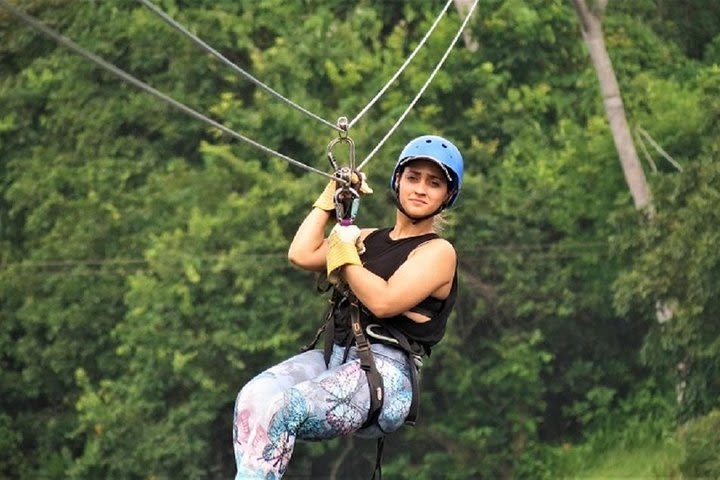 Zipline Adventure In The Rainforest image